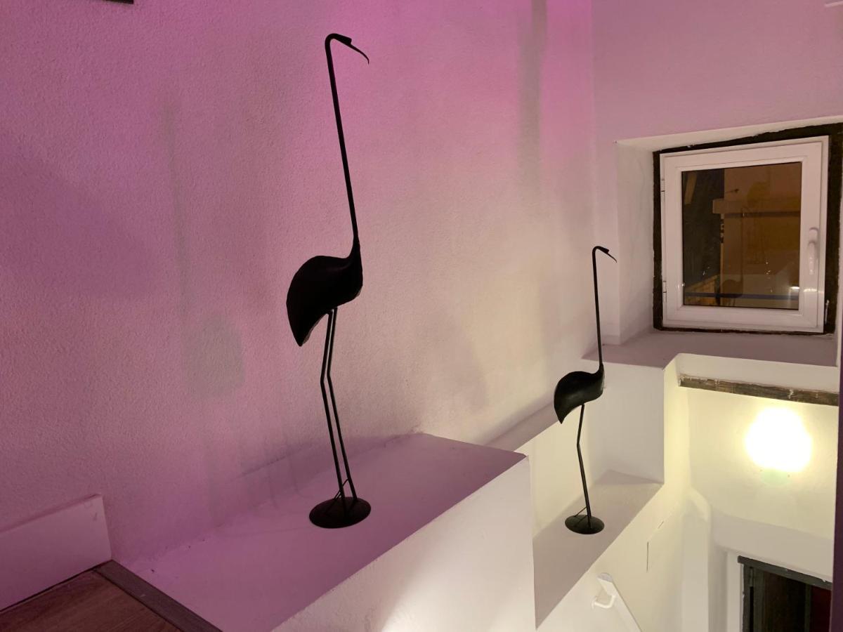 Casita Del Flamingo En Casco Historico Villa Alicante Kültér fotó
